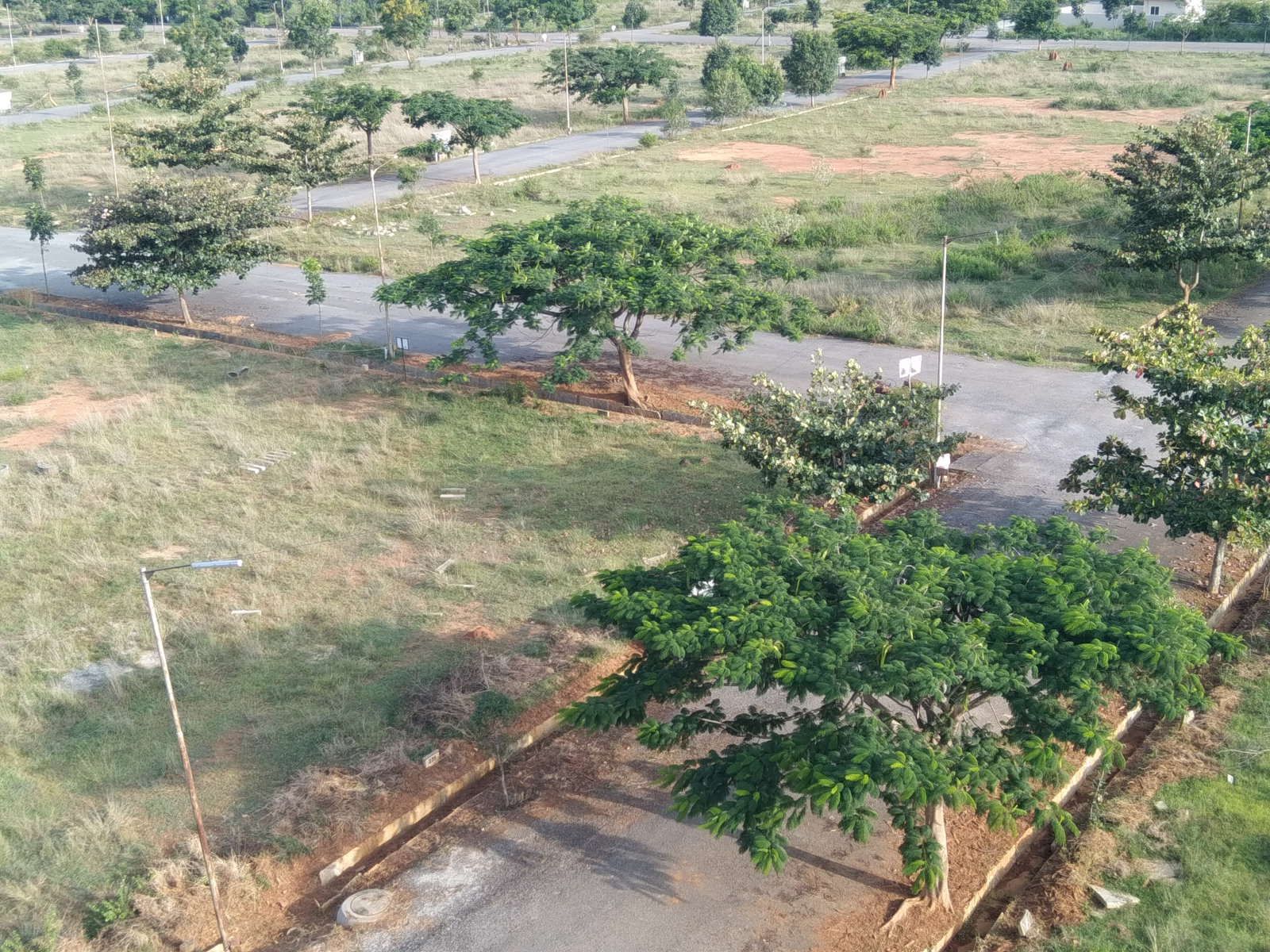 Tree-lined roads at Telecom Green Field Garden Phase 1
